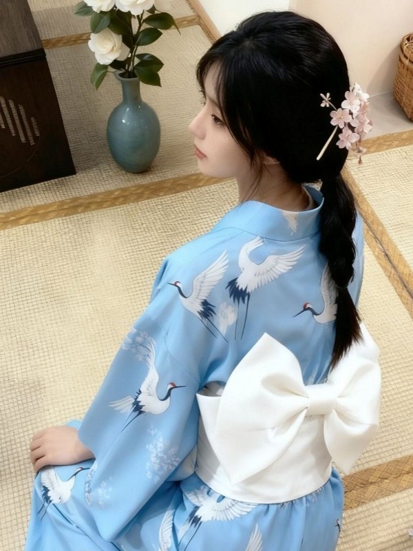 Ethnic Fashion Online - Traditional Japanese Kimono Style Photography Clothing