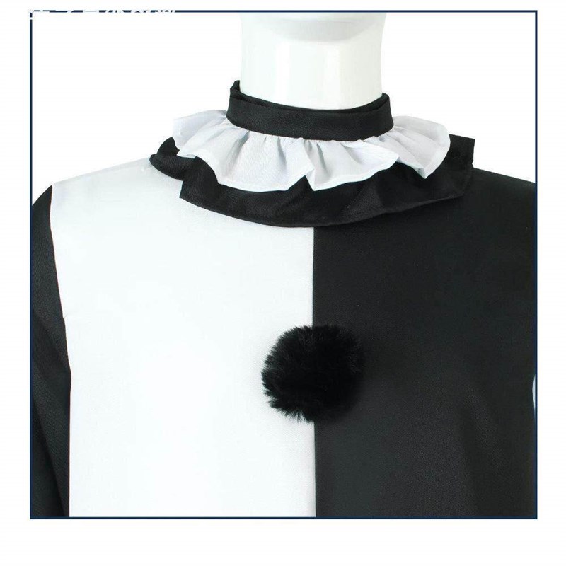 Halloween Performance Costume  - Ethnic Wear review and price