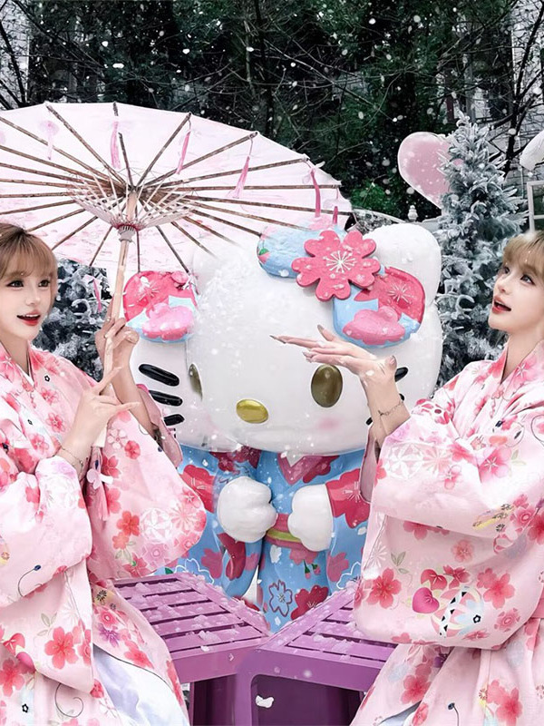 Traditional Japanese Kimono Ba - Ethnic Fashion Online review and price